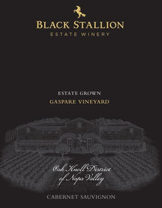 Black Stallion 2019 Gaspare Vineyard Cabernet Sauvignon