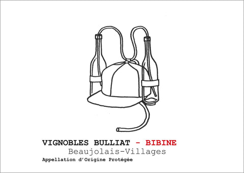 Vignobles Bulliat 2022 Bibine Beaujolais Villages