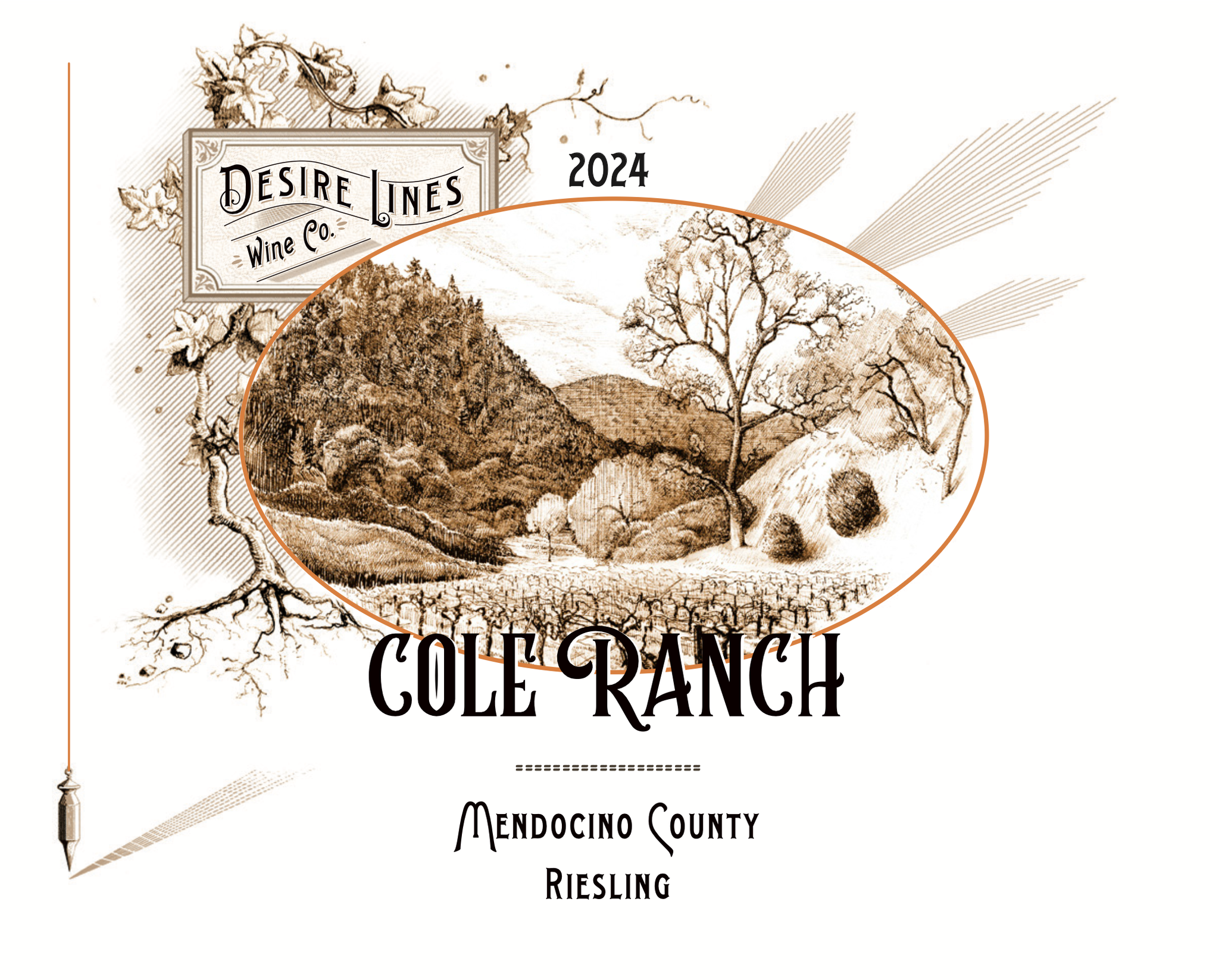 Desire Lines 2024 Cole Ranch Vineyard Riesling