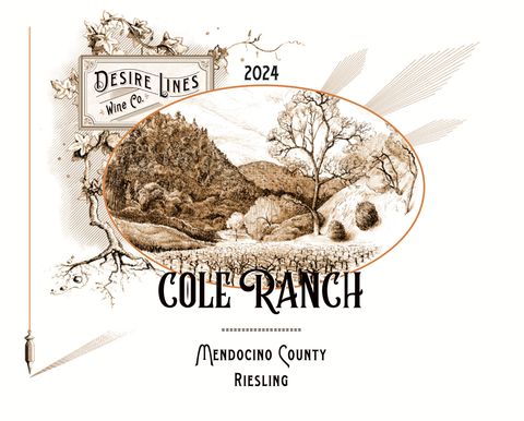 Desire Lines 2024 Cole Ranch Vineyard Riesling