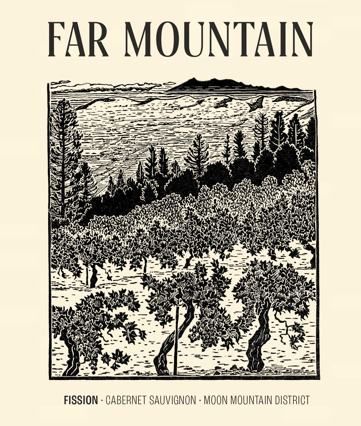 Far Mountain 2021 Fission Cabernet Sauvignon