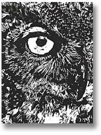 Stolpman Vineyards 2023 Para Maria Red