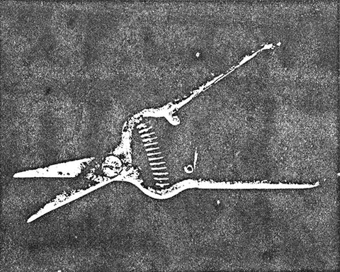 Stolpman Vineyards 2023 La Cuadrilla Especial
