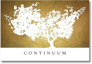 Continuum 2019 Continuum