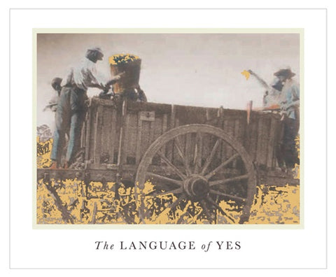 Language of Yes 2020 Syrah